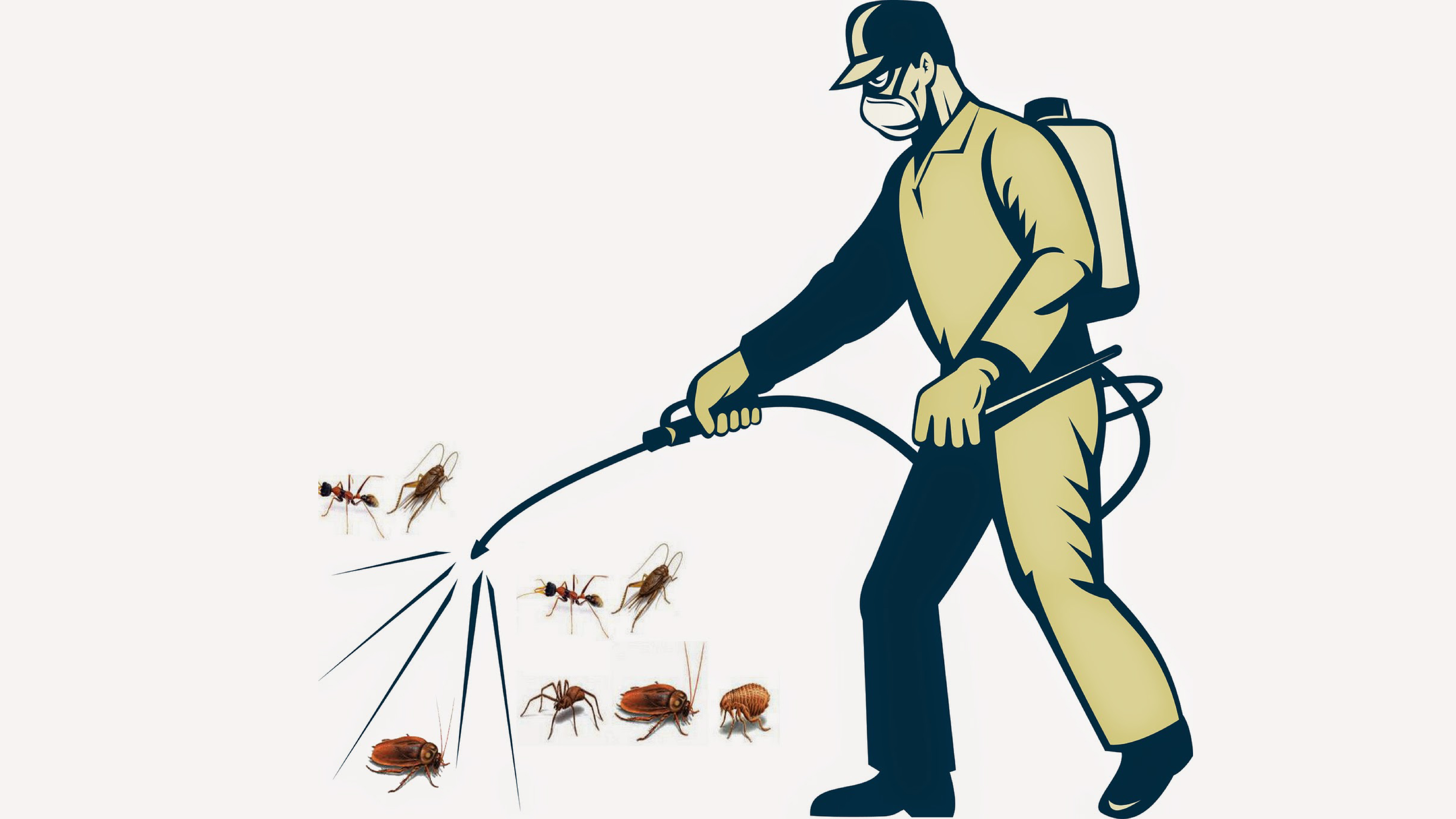 V/v Hỗ trợ phun xịt côn trùng bên trong căn hộ và khuyến cáo cách phòng tránh.